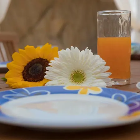 Arroccas De Is Istellas Lantgård *